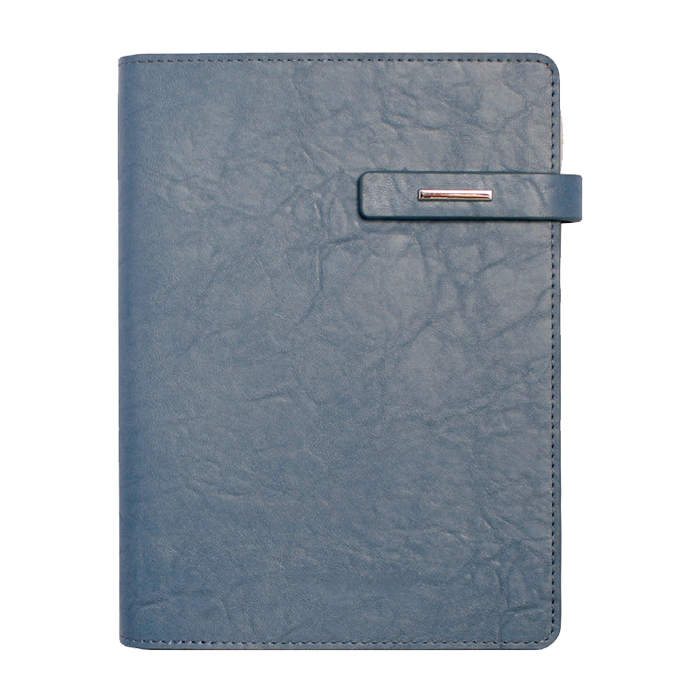 뉴벨라링크 블루 특안식