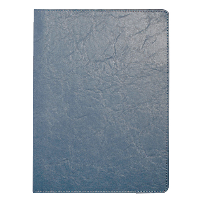 뉴벨라 블루 특안식