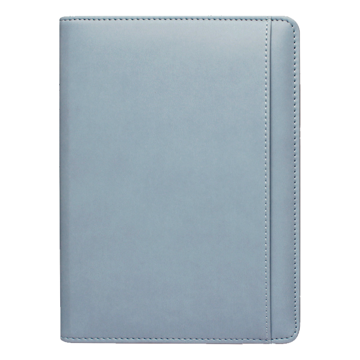 스타 블루 특안식