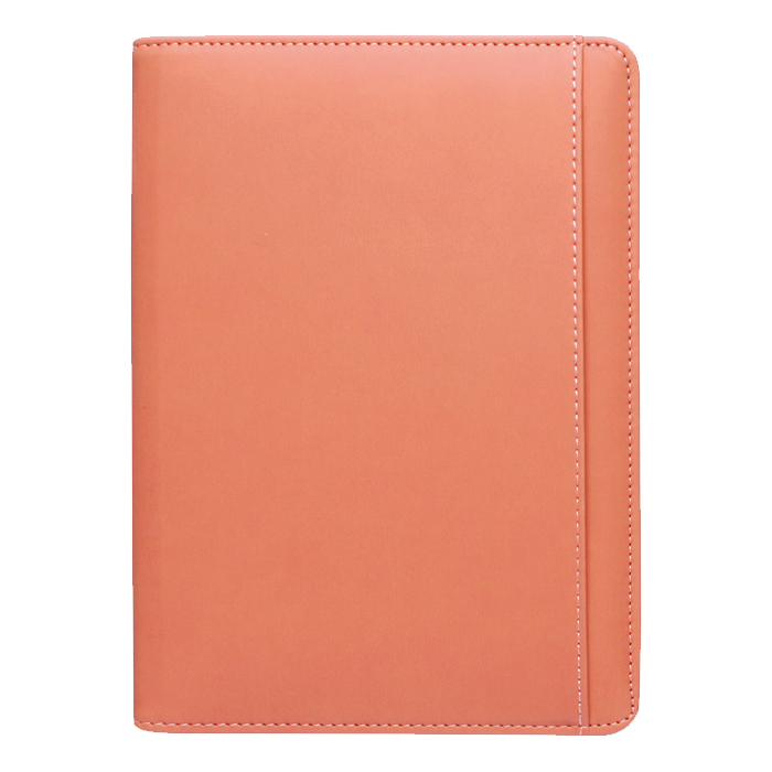 스타 캐롯 특안식