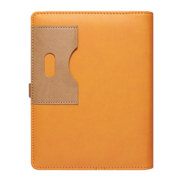 스타 브라운 시스템