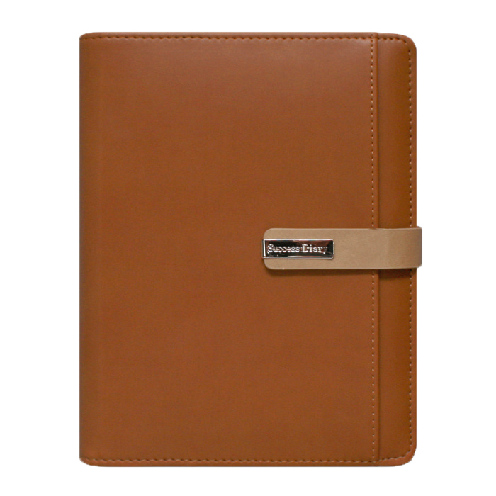 스타 브라운 시스템