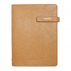 뉴벨라 브라운 시스템