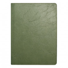 뉴벨라 그린 특안식