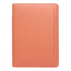 스타 캐롯 특안식