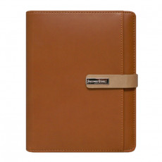 스타 브라운 시스템