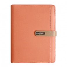 스타 캐롯 시스템