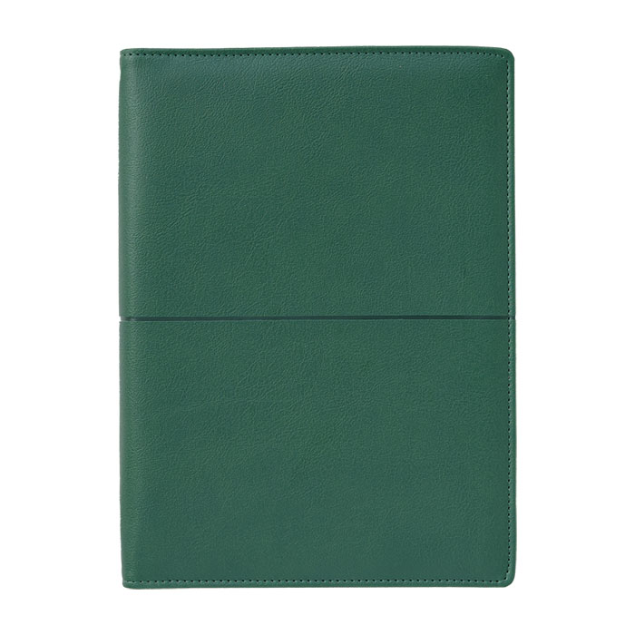 데이즈 그린 시스템