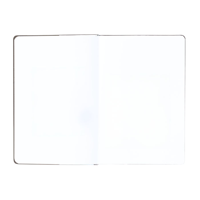 레오 브라운 양장