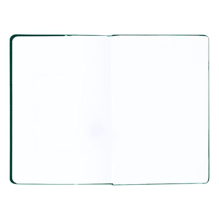 노아 그린 양장